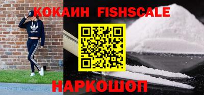 индика Славгород