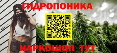 стафф Славянск-на-Кубани