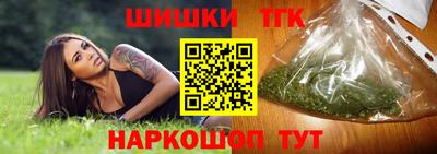 индика Славгород