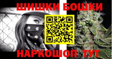 индика Славгород
