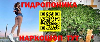 PSILOCYBIN Сланцы