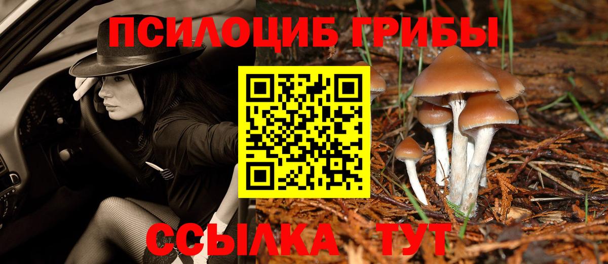 Богородск  Псилоцибиновые грибы Psilocybine cubensis  где купить наркоту  Вход с VPN 