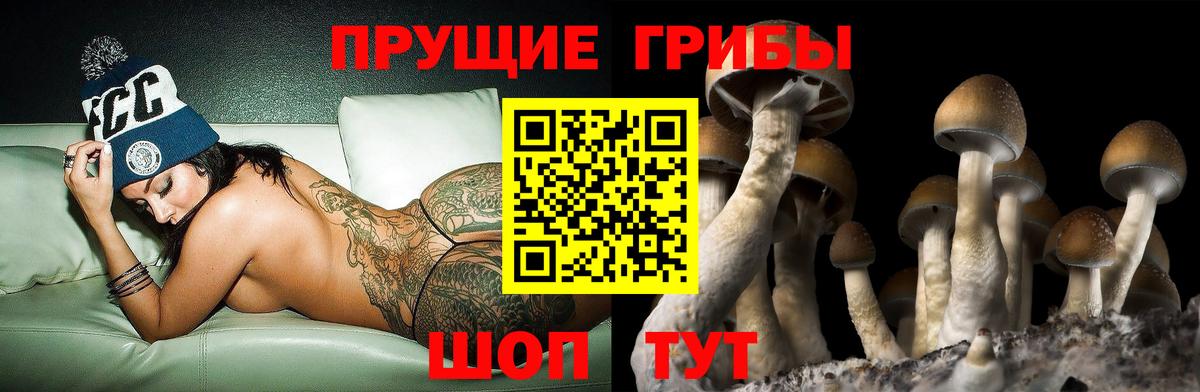 Псилоцибиновые грибы мухоморы Богородск